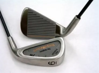 The Whippy TempoMaster 6-Iron
