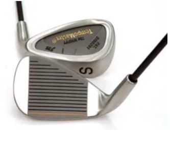 The Whippy TempoMaster SW